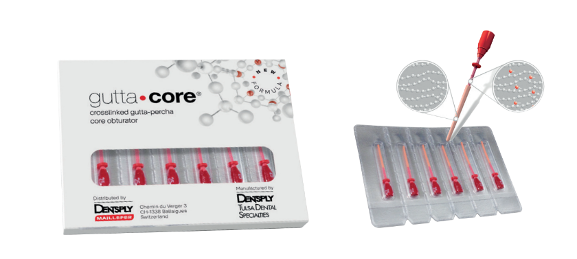 Guttapercha rosa guttacore x5 6 unid. - Dentsply Maillefer