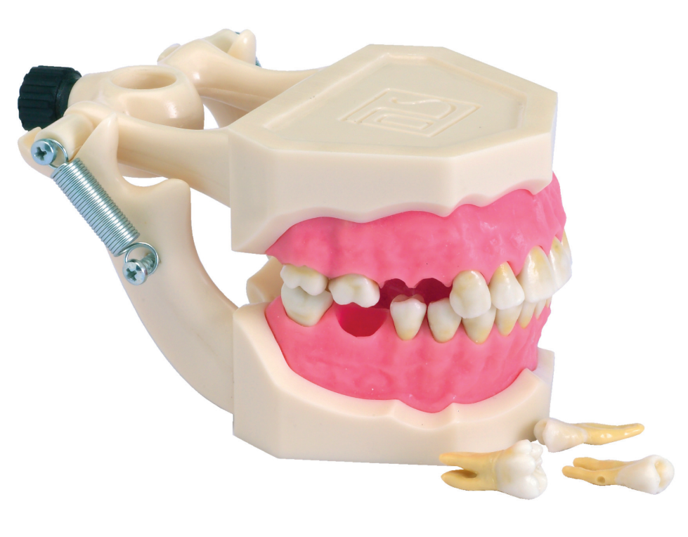Mod. Standard Radiculares Extraiveis – Dental Store
