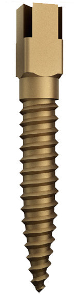 Parafusos dourados dentatus 15unid. – Dentatus