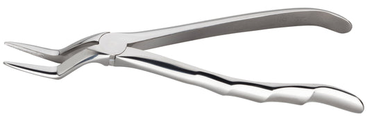 Forceps n.151 - Proclinic