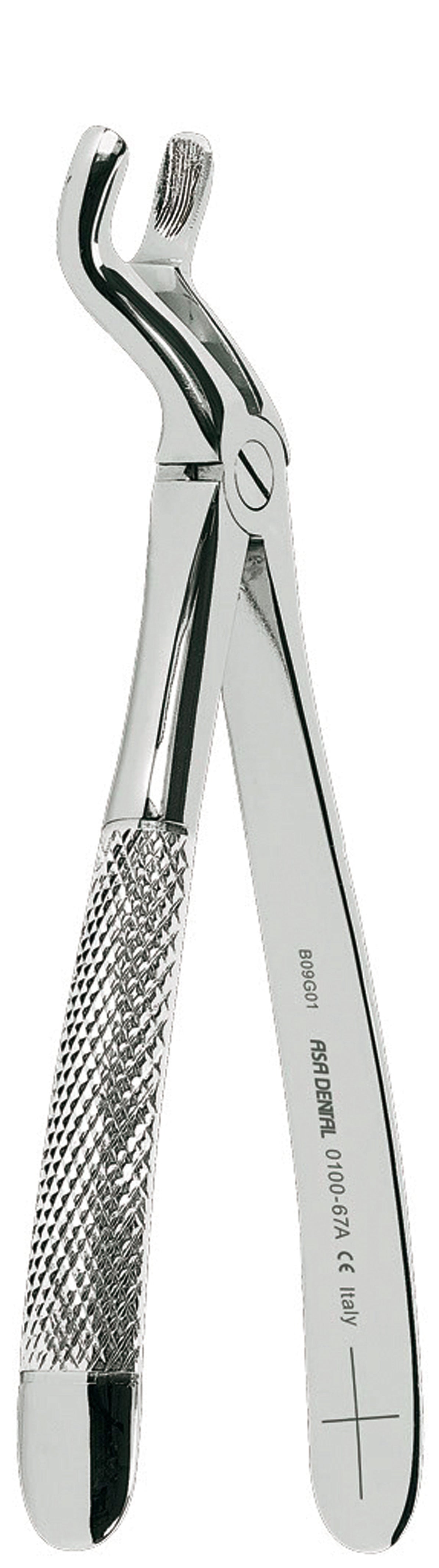 Forceps n.67ª  – Asa Dental