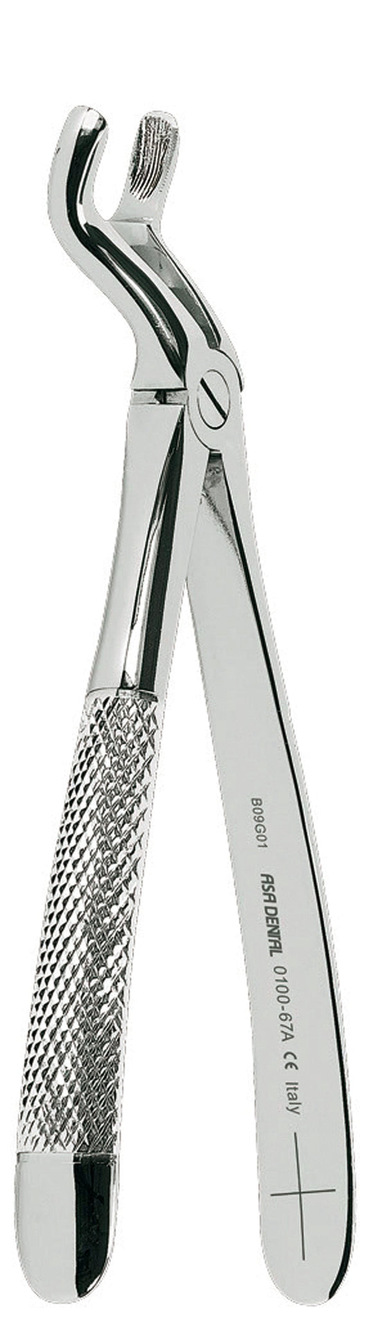 Forceps n.67ª  – Asa Dental