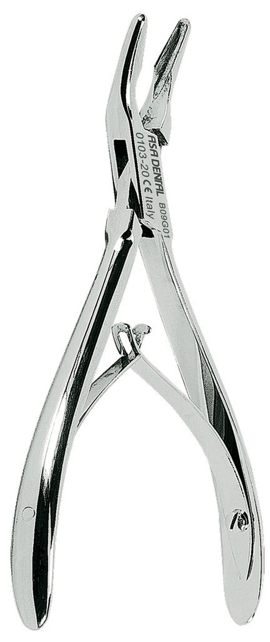 Gubia friedman – Asa Dental