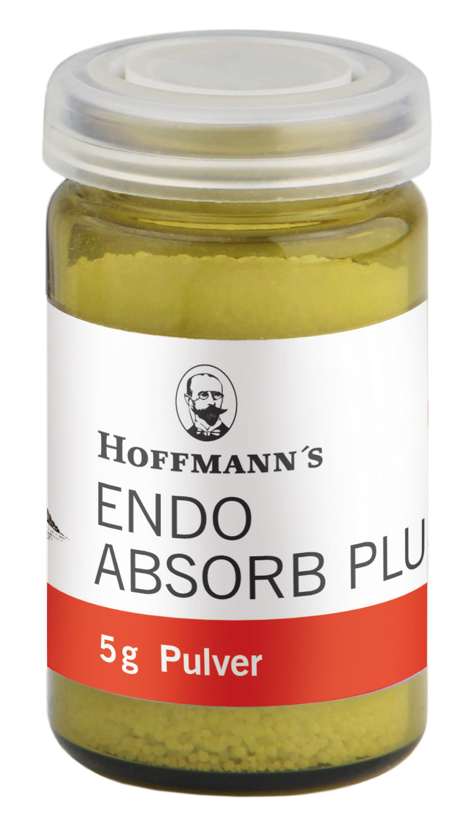 Endo absorb plus pó - Hoffmann