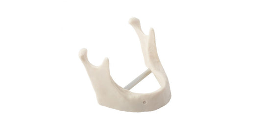Mod. Mandibular Cdensidad Implantes – Dental Store