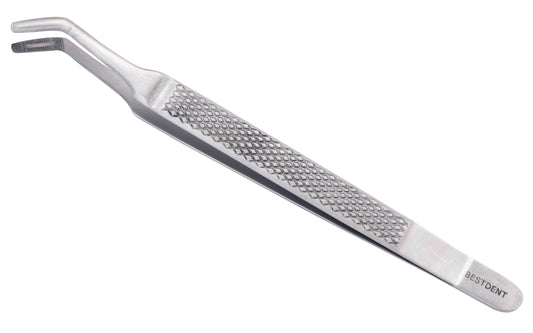 Pinca albrech – Bestdent