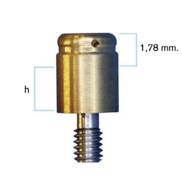 Locator Abutment - Zest anchors